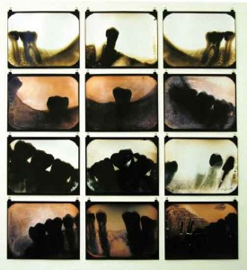 Sara Maneiro (Venezuela, 1965), Los insepultos (The Unburied), 1993, 2 blueprints, each 37” x 384”.  Courtesy of the artist and University of Texas at El Paso. 