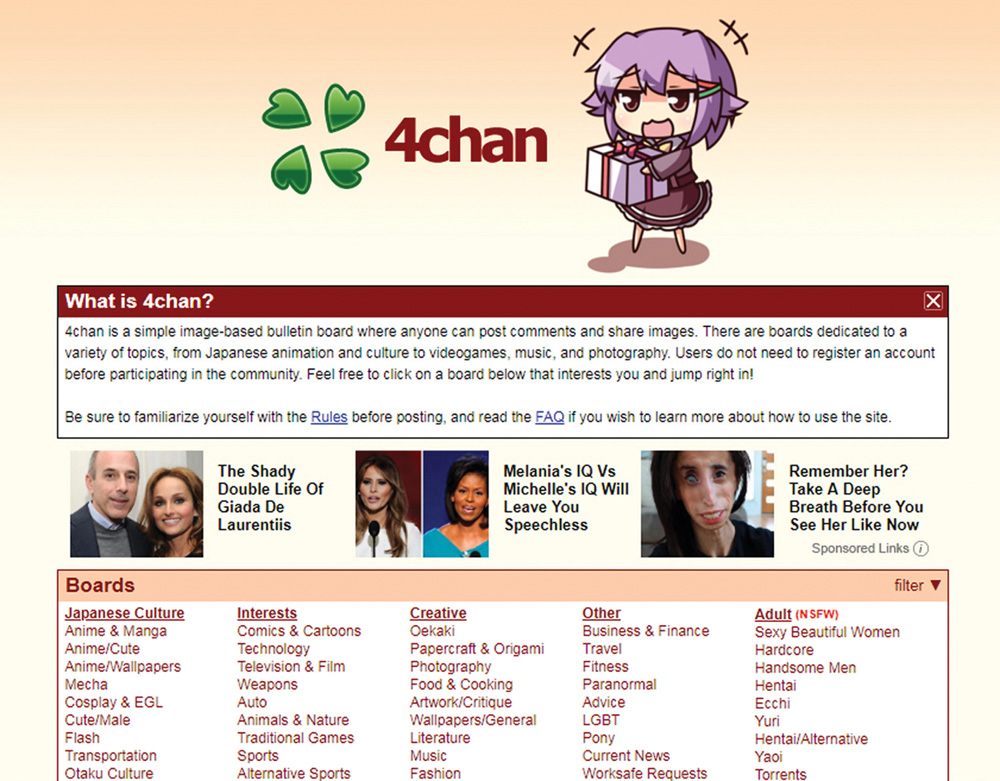 4Chan website www.4Chan.org, 2018, screenshot. 